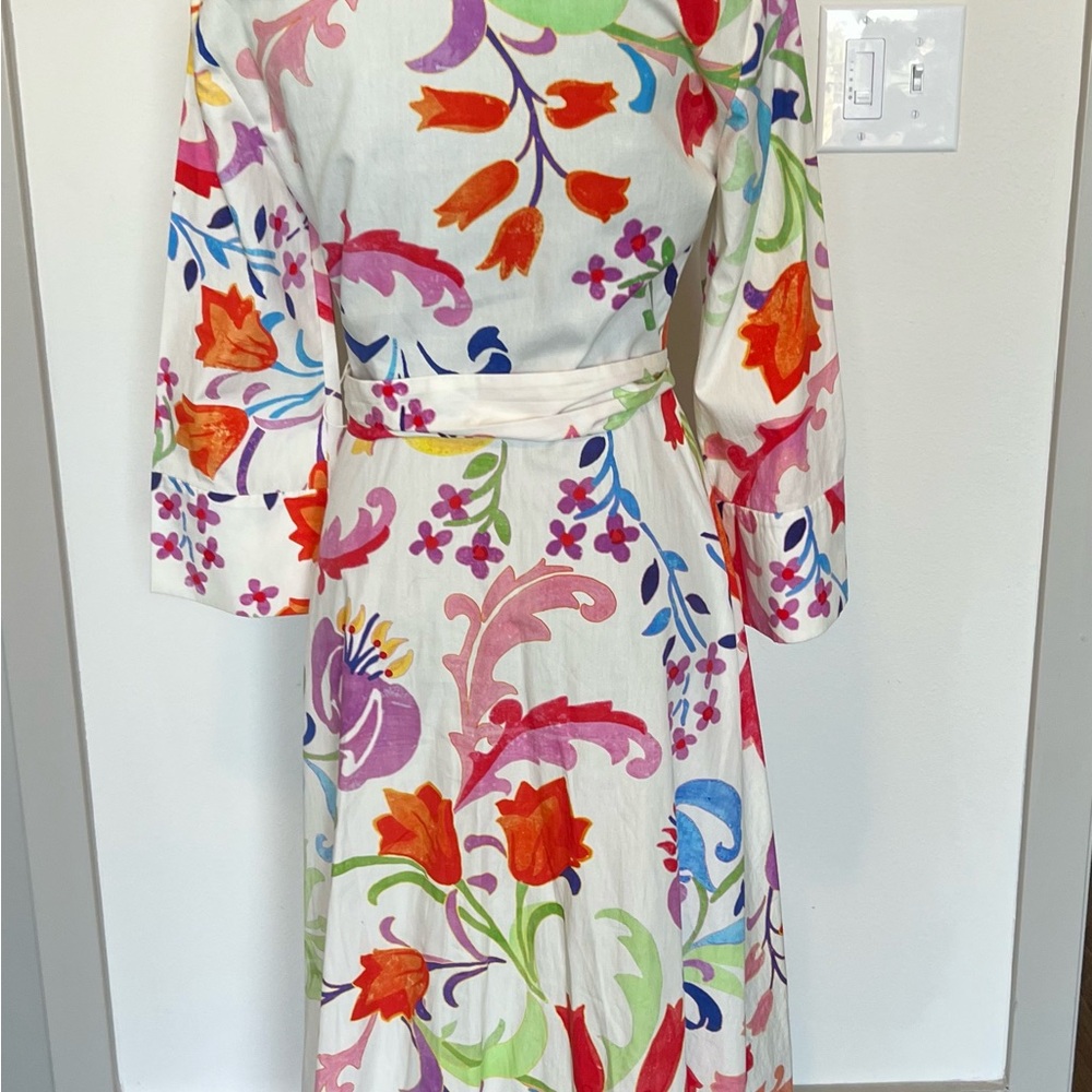 Zara Floral Multicolor Dress